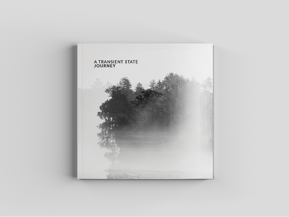 Aperçu album Journey - A Transient State